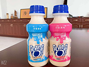 印象澳味草莓、原味乳酸菌340ml